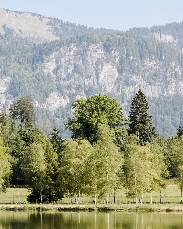 Landschaft mit Bäumen, Bergen und See in Österreich.